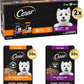 Cesar Filets in Gravy Wet Dog Food Filet Mignon Flavor and Rotisserie Chicken Flavor Variety Pack, 1.76 oz. Mini-Pouches (20 Count, Pack of 2)