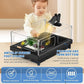 GOZILLA Small Turtle Tank with Adjustable Lamp, Acrylic Turtle Tank Starter Kit, Reptile Habitat and Terrarium with Multi-Functional Areas for Tortoise, Crab, Crayfish, Small Reptile.(Tank+Lamp)