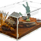 REPTI ZOO Large Tarantula Enclosure Spider Enclosure 14" X 8" X 6", 2 in 1 Acrylic Aboreal Breeding Box for Mantis Snail or Terrestrial Breeding Box for Cricket Jumping Spiders Tarantula