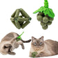 Cat Catnip Toys,2Pcs Catnip Ball for Cats,Toys for Indoor Cats,Cat Chew Exercise Toy for All Breeds and Species,Enhances Oral and Dental Health