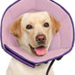 Dog Cone Collar L, Soft Cones for Large Medium Small Dogs,Adjustable Dog Cone Alternative to Stop Licking, Comfy Elizabethan Collar for After Surgery Wound Healing & Hot Spots Purple