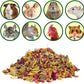Flower Fusion Treat - Healthy Natural Dried Flower Herbivore Treat - Chinchillas, Guinea Pigs, Rabbits, Prairie Dogs, Degus, Hamsters, Rats, Squirrels, Sugar Gliders & Other Small Pets (0.85 oz)