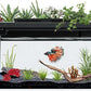 3.7 Gallon Betta Fish Tank self Cleaning,Smart Aquarium Aquarium kit with Filter Light Water Pump