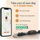 Weenect Dog XT - New GPS Collar for Dogs | XL Antenna | Waterproof | Ultra-Durable Integrated Julius-K9 Collar | Subscription Required