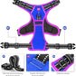 PHOEPET 2019 Upgraded No Pull Dog Harness, Reflective Adjustable Vest, with a Training Handle + 2 Metal Leash Hooks+ 3 Snap Buckles +4 Slide Buckles(M, Royal Blue)