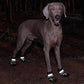 Dog Shoes for Large Dogs, Medium Dog Boots Paw Protectors for Winter Snowy Day, Summer Hot Pavement, Waterproof in Rainy Weather, Outdoor Walking, Indoor Hardfloors Anti Slip Sole (Black5#)