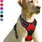 BARKBAY No Pull Dog Harness Front Clip Heavy Duty Reflective Easy Control Handle for Large Dog Walking(Red,L)