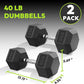 Hex Dumbbell 40-125 lb, Rubber Encased Exercise & Fitness Dumbbells, Hand Weight for Strength Training
