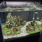 Natural Stone Aquarium Decoration 8.8lb Dragon Stone Rock Mixed Sizes for Micro Landscape Fish Tank Decor