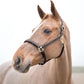 HORZE Largo Genuine Leather Horse Halter | Adjustable Padded Noseband and Crown