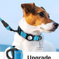 TagME Airtag Dog Collar,Waterproof Reflective Pet Collar with Airtag Holder,Soft Padded and Double D-Rings for Small Dogs,Light Blue
