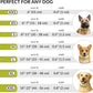 CollarDirect Rolled Leather Dog Collar, Soft Padded Round Puppy Collar, Handmade Genuine Leather Collar Dog Small Large Cat Collars 13 Colors (13-16 Inch, Lime Green Textured)