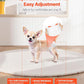 VEVOR Disposable Dog Diapers, Super Absorbent Female Dog Diapers, 360° Leak-Proof Female Doggy Pet Diaper with Wetness Indicator for Heat Period, Training, Incontinence - S, 96 Count (2 Packs of 48)