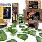 Boa Constrictor Habitat 10 Gallon Terrarium Kit
