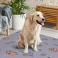 Washable Waterproof Pee Pads for Dogs - 2-Pack Small 18x24 Super Absorbent Reusable Training Pads, Non-Slip & Ideal for Puppies & Dog Playpen, Crate & Potty