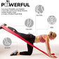 7Ft Long Resistance Bands for Stretching - Resistance Bands Set with Door Anchor - Exercise Bands Including Carry Pouch, E-Book & App - Latex-Free Workout Bands