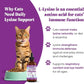 Special Breed L-Lysine for Cats & Kittens – Immune, Respiratory & Eye Health Support – Liquid Cat Supplement with Astragalus, Burdock, Atractylodes, Dangshen & Vitamins A, B1, B2, B6 – 4oz (120mL)