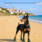 Dog Shoes for Hot Pavement, Breathable Dog Boots Paw Protectors with Adjustable Straps & Non-Slip Sole, Easy On & Off, Waterproof, Easy-Cleaning Silicone Outdoor Dog Booties for Beach and Snow