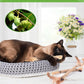 TINDTOP Silvervine Sticks for Cats with Natural Feather, Catnip Chew Toys for Kittens Teeth Cleaning, Increase Appetite, Calm Cat Anxiety and Stress, Cat Dental Toy (3 Pack)