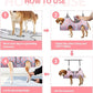 Dog Grooming Hammock for Small Dogs & Cats, Dog Grooming Harness for Nail Trimming, Pet Grooming Sling Helper with Nail Clippers/Nail Trimmers