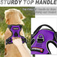 BARKBAY No Pull Dog Harness Front Clip Heavy Duty Reflective Easy Control Handle for Large Dog Walking(Purple,M)