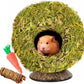Coconut Hamster Hideout Hamster House Gerbil Cage for Small Animals with a Bundle of Apple Sticks a Carrot (Yellow)