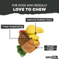 Barkbox Fowl Play Treat Dispensing Hard Core Plush Toy for Aggressive Chewers - Large