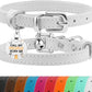 BRONZEDOG Leather Cat Collar with Removable Bells Non Breakaway Kitten QR Tag for Girl Boy (7" - 9" for Cats, White & Silver)