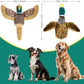 2 PCS Mallard Duck Dog Toys Squeaky D og Toy ,Stuffed Pheasant Do g Chew Toys Plush Mallard Duck Do g To y Interactive Do g Toys to Keep Them Busy , Pheasant Dog To y for Small Middle and Large Dogs