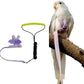Pet Parrot Bird Harness Leash Adjustable Bird Flying Harness Traction Rope with Cute Wing for Parrots Pigeons Budgerigar Lovebird Cockatiel Mynah Outdoor Training Toy (S, Purple)
