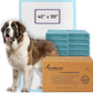 PETSWORLD Mega-Sized Dog Pee Pads (40" x 99") – 4XL Gigantic Pet Piddle Pads for Puppy Training, Incontinence – with Adhesive Sticky Tape – Leak Proof, 5-Layer Protection (160 Count)