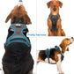 Light Up Dog Harness, No Pull LED Dog Harness with Handle, Rechargeable Lighted Safety Vest for Small Medium Large Dogs, Adjustable Soft Dog Lights for Night Walking