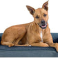 Furhaven Orthopedic Dog Bed for Large Dogs w/ Removable Bolsters & Washable Cover, For Dogs Up to 95 lbs - Sherpa & Chenille Sofa - Orion Blue, Jumbo/XL