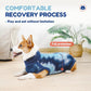 Breathable Dog Recovery Suit for Male/Female, Tie Dye Blue Dog Onesie for Abdominal Wounds, Cone E-Collar Alternative After Surgery to Anti-Licking, Professional Surgery Suit for Dogs