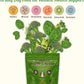 Natural Dog Company Dog Super Greens Food Topper, Dog Multivitamin Powder Vitamins & Supplements, Boost Immunity & Digestion, Wellness Nutrient-Rich Food Seasoning Meal Topper, 8 oz