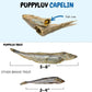 Puppyluv Treat - Freeze Dried Capelin Dog & Cat Treats, Rich Fish Oil with Omega 3 Fatty Acides to Support Skin and Coat, Whole Fish, Grain Free, 2.3oz