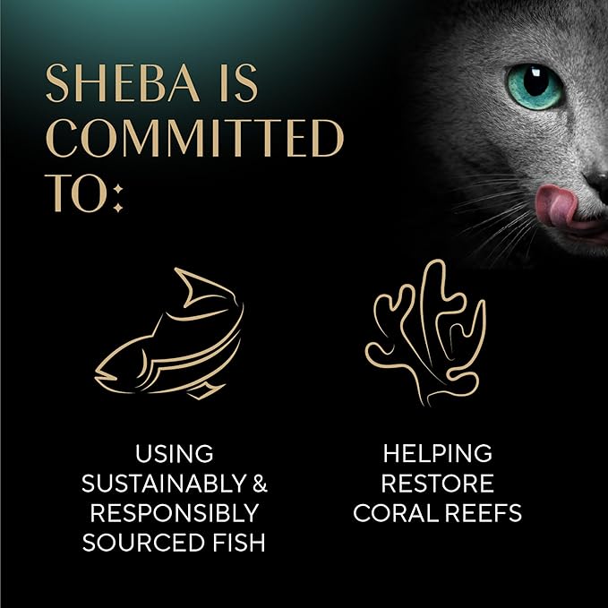 Sheba Perfect Portions Wet Cat Food Cuts in Gravy Variety Pack, with Sustainable Salmon, Tender Trout Entree, and with Sustainable Tuna, 2.6 oz. Twin-Pack Trays (24 Count, 48 Servings)
