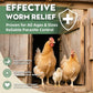 Chicken Dewormer Powder, All-Natural Health Formula, 1LB Pouch,Safe for Eggs, Effective for All Ages & Sizes, Chicken Wormer, Poultry Medicine Supplies (1, Pounds)