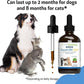 Pet Wellbeing Smooth BM Gold for Dog & Cats - Constipation Relief & Stool Softener, Supports Healthy Bowel Movements - Natural Herbal Supplement 4 oz (118 ml)