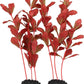 2-Pack 12 Inch Aquarium Silk Aquarium Plants, Artificial Plastic Plant for Small Tank, Goldfish, Fish Hides (Red, 12 Inch)