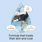 DedCool Pet Shampoo (01 Taunt, 16.9 oz) Tear-Free, for Sensitive Skin, Hypoallergenic, Dry Skin & Itch Relief, Deodorizing Shampoo & Conditioner for Dogs & Cats, Vegan, Clean, Non-Toxic
