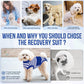 Lukovee Recovery Suit for Dogs - Zipper Onesie for Female & Male Dogs, Abdominal Wounds Cone E-Collar Alternative, Prevent Licking - Spay Recovery Suit (Small, Blue & White)