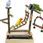 Tfwadmx Bird Playground Natural Wood Bird Play Stands Parrot Perch Stand with Removable Tray Climb Ladders Swing Chewing Toys for Lovebirds Cockatiels Budgies