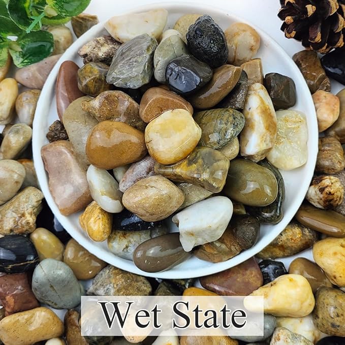 10lbs Aquarium Rocks, 5/8" Natural River Rocks for Plants Decorative Polished Mixed Pebbles for Fish Tank, Landscaping, Gardening, Flower Pots, Vase Fillers, Indoor Water Fountains