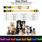 PcEoTllar Light up Dog Collar for Night Walking - LED Dog Collar Light Rechargeable Color Changing, Glow in The Dark Dog Collars Waterproof Glowing Dog Collars for Large Small Medium Dogs