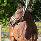 HORZE Howard Padded Fleece Comfortable Adjustable Polyester Horse Halter - Dark Brown - Warmblood