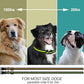Electric Dog Training Collar with Remote 1640FT, E-Shock, Safe Training Modes, Rechargeable IP67 Waterproof Collars for 2 Dogs