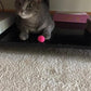 40-Pack Cat Balls – Fun Interactive Toys for Indoor Cats & Kittens (Basic Cat Toy Set)