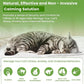 Calming Diffuser Kit for Cat, Cat Pheromone Calming Diffuser Starter Helps Ruduce Anxious, Anti-Stress & Comforts Cats (2 Diffuser + 6 Refills)