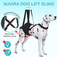 Dog Hip Support Brace – Rear Leg Lift Harness for Mobility & Post-Surgery Recovery, with Chest Straps and Adjustable Elastic Buckles, Customization